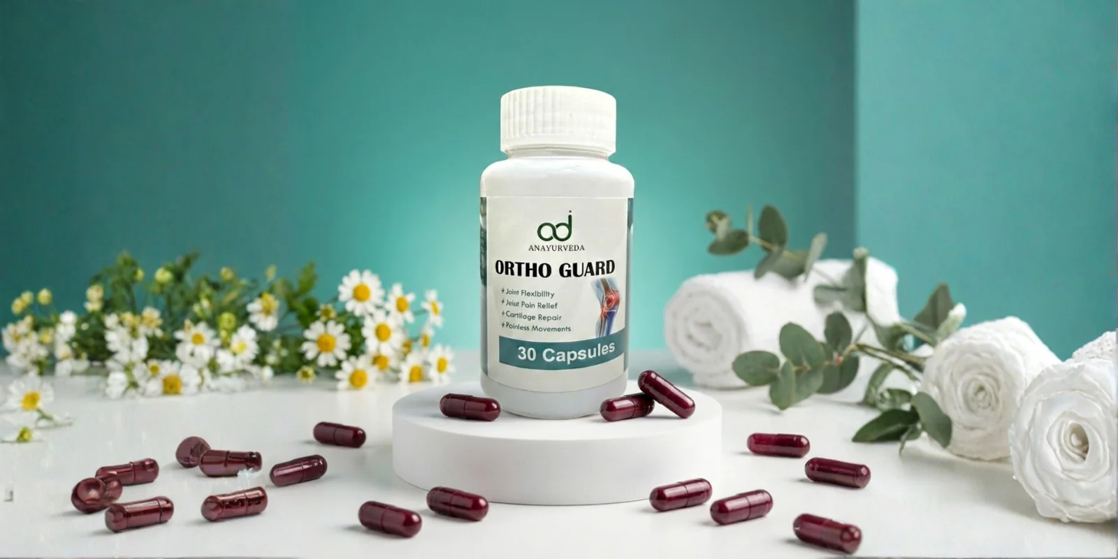 Ortho Guard - Banner